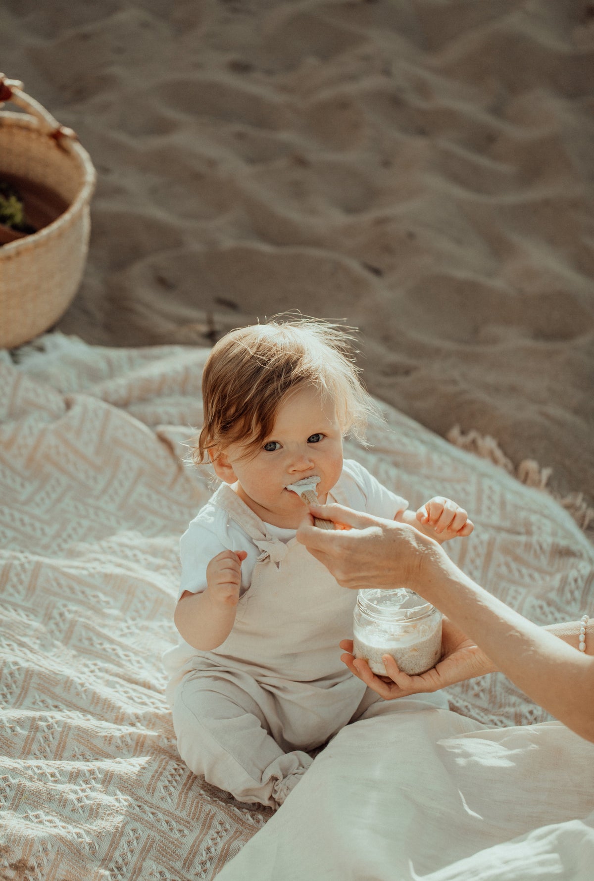 Iron Rich Purée Recipes: What Actually Supports Iron Intake in Early Solids